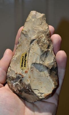 A large and pleasant Paleolithic 