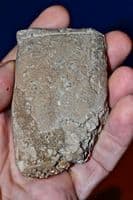 A large and rare Sumerian baked clay tablet featuring 6 lines of Cunieform [Cuneiform] script. SOLD