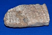 A large and rare Sumerian baked clay tablet featuring 6 lines of Cunieform [Cuneiform] script. SOLD