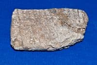 A large and rare Sumerian baked clay tablet featuring 6 lines of Cunieform [Cuneiform] script. SOLD