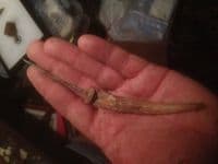 A large and rare, Viking carved and polished bone Awl handle. SOLD