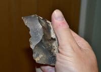 A large and scarce Lower Paleolithic 