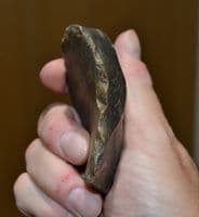 A large and scarce Lower Paleolithic 