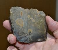 A large and scarce Lower Paleolithic 