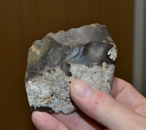 A large and scarce Lower Paleolithic 