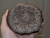 A large & excellent Lipleurodon vertebrae, Jurassic Period, Kimmeridgian, Oxfordshire (N15) SOLD