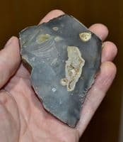 A large & excellent Palaeolithic (Neanderthal) 