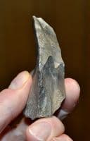 A large & excellent Paleolithic (Neanderthal) 