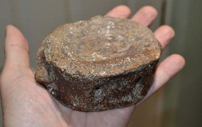 A large & excellent Pliosaur vertebrae, Jurassic Period, Kimmeridgian, Oxfordshire (N27) SOLD