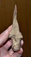 A large & extremely rare Late Neolithic-Early Bronze Age Bone Awl, Swiss Lake Villages. SOLD
