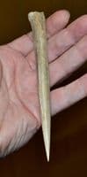 A large & extremely rare Late Neolithic-Early Bronze Age Bone 