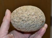 A large, heavy (750g) and impressive Neolithic Quartzite Hammer Stone, Mildenhall, Suffolk.