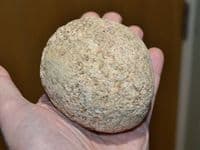 A large, heavy (750g) and impressive Neolithic Quartzite Hammer Stone, Mildenhall, Suffolk.