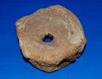A large Icthyosaur vertebrae from the Jurassic Period, Kimmeridgian layers, Oxfordshire. SOLD