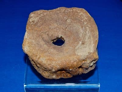 A large Icthyosaur vertebrae from the Jurassic Period, Kimmeridgian layers, Oxfordshire. SOLD