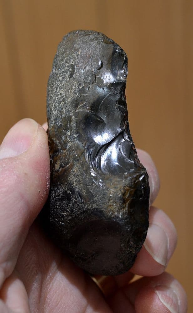 A large Lower Paleolithic 