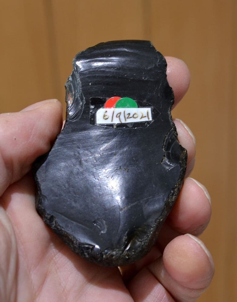 A large Lower Paleolithic 