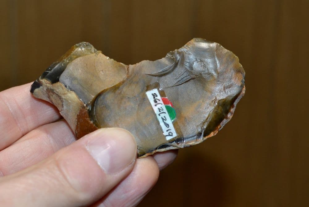 A large Lower Paleolithic 