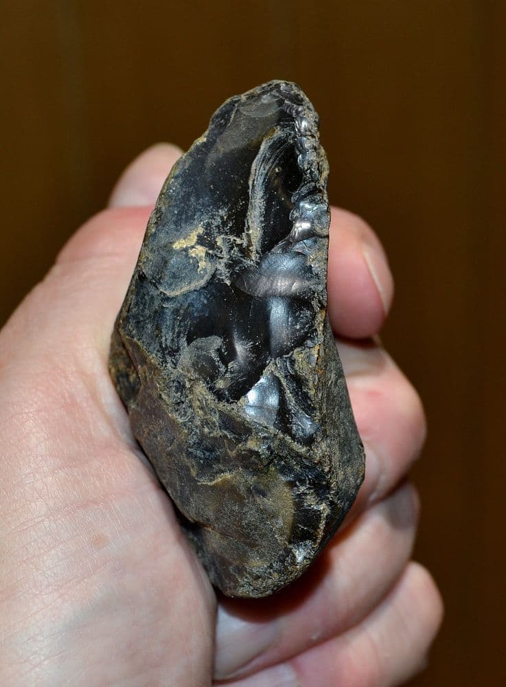 A large Lower Paleolithic 