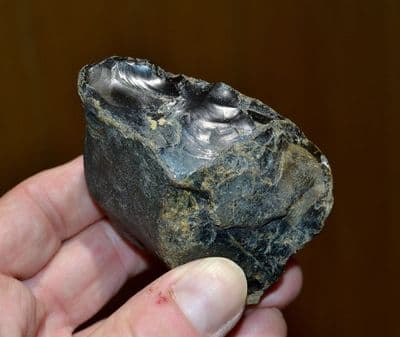A large  Lower Paleolithic 