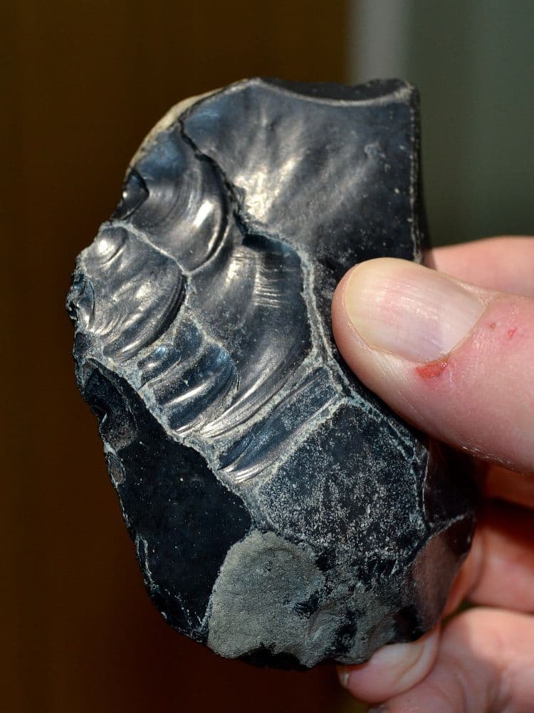 A large Lower Paleolithic 