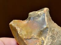 A large Lower Paleolithic 