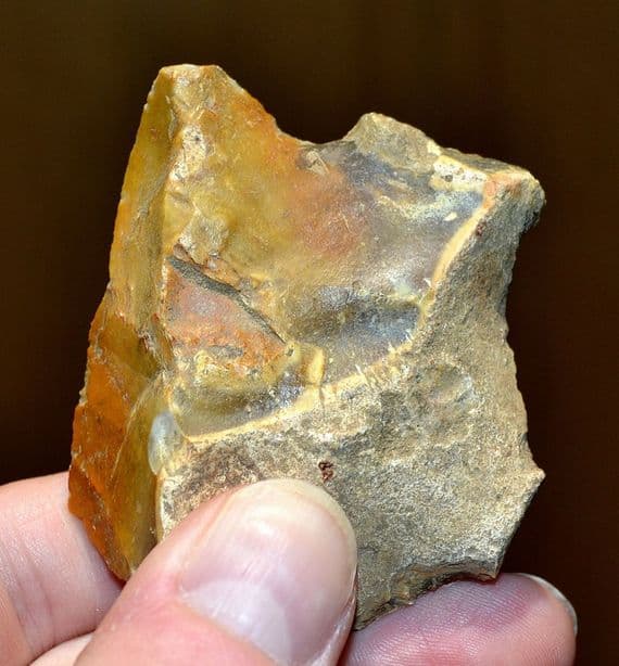 A large Lower Paleolithic 