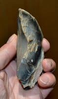 A large & nicely worked Mesolithic Tranchet Hand Axe, Hellesdon, Norfolk. SOLD