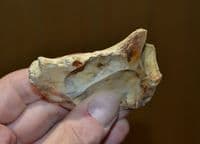 A large & pleasant early Paleolithic flint scraper tool, Elveden, Suffolk.