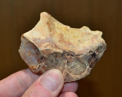 A large & pleasant early Paleolithic flint scraper tool, Elveden, Suffolk.