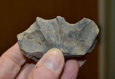 A large & pleasant Paleolithic (Neanderthal) Dual-Notched scraper tool , France.