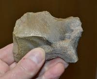 A large & pleasant Paleolithic (Neanderthal) Notched scraper tool , France.