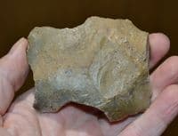 A large & pleasant Paleolithic (Neanderthal) Notched scraper tool , France.