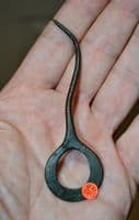 A large, rare and excellent, Late Bronze age to Early Iron Age bronze ring headed 