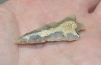 A large, slender & nicely worked Early Bronze age Barbed & Tanged flint arrowhead, Hants SOLD