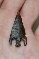 A large & superb Early Bronze Age flint Barbed & tanged arrowhead with curved barbs, Leics. SOLD