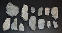 A lot of 12 x Mesolithic Portland flaked Chert Bladelets & Core, Portland Bill, Dorset (N118)