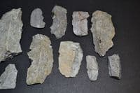 A lot of 12 x Mesolithic Portland flaked Chert Bladelets & Core, Portland Bill, Dorset (N118)