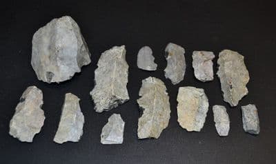 A lot of 12 x Mesolithic Portland flaked Chert Bladelets & Core, Portland Bill, Dorset (N118)