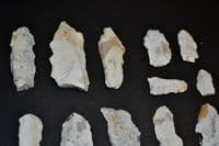 A lot of 12 x Mesolithic Portland flaked Chert Bladelets, Portland Bill, Dorset (N110) SOLD