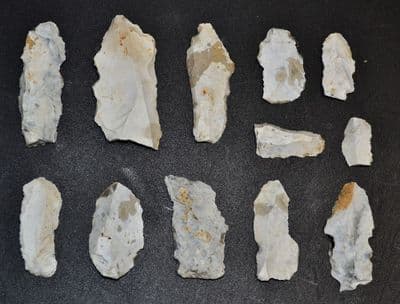 A lot of 12 x Mesolithic Portland flaked Chert Bladelets, Portland Bill, Dorset (N110) SOLD