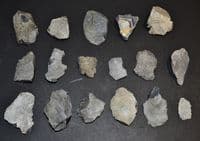 A lot of 17 x assorted Mesolithic Portland flaked Chert tools, Portland Bill, Dorset (N102) SOLD