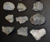 A lot of 17 x assorted Mesolithic Portland flaked Chert tools, Portland Bill, Dorset (N102) SOLD