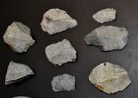 A lot of 17 x assorted Mesolithic Portland flaked Chert tools, Portland Bill, Dorset (N102) SOLD