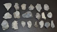 A lot of 20 x assorted Mesolithic Portland flaked Chert tools, Portland Bill, Dorset (N103)