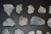 A lot of 20 x assorted Mesolithic Portland flaked Chert tools, Portland Bill, Dorset (N103)