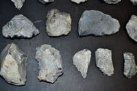 A lot of 20 x assorted Mesolithic Portland flaked Chert tools, Portland Bill, Dorset (N103)