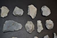 A lot of 20 x assorted Mesolithic Portland flaked Chert tools, Portland Bill, Dorset (N103)