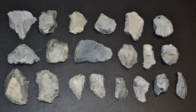 A lot of 20 x assorted Mesolithic Portland flaked Chert tools, Portland Bill, Dorset (N103)