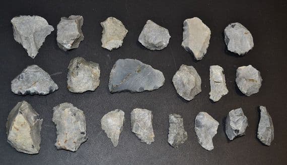 A lot of 20 x assorted Mesolithic Portland flaked Chert tools, Portland Bill, Dorset (N103)